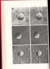 12149BB_5